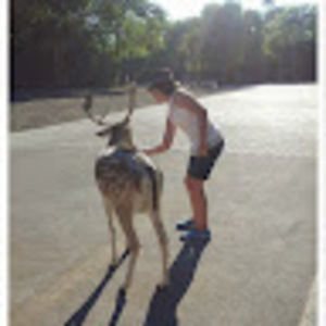 Meet your Posher, Dawn